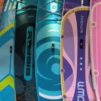 پدل برد|غواصی و ورزشهای آبی|بندرعباس, |دیوار