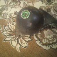 بوق بزرگ