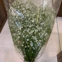 دسته گل ژیپسوفیلیا یا عروس مخصوص یلدا