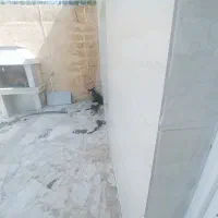 سگ ژرمن گرگی|سگ|مشهد, کلاته برفی|دیوار