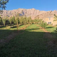 باغ و زمین مسکونی|فروش زمین و ملک کلنگی|خاوه, |دیوار