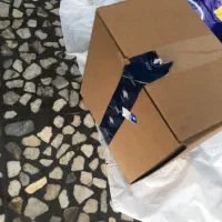 پمپ و درجه باک ۲۰۶ و ۲۰۷|قطعات یدکی و لوازم جانبی|رشت, دیلمان|دیوار