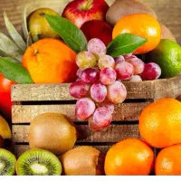 کود ارگانیک