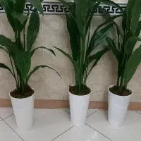 گل های مصنوعی|گل مصنوعی|بهارستان, |دیوار
