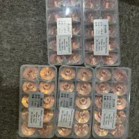 ترخیص کالا|خدمات حمل و نقل|فشاپویه, |دیوار