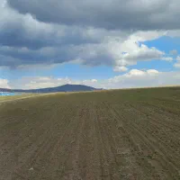 زمین-کشاورزی-سند-دار