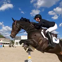 باشگاه سوارکاری ، پانسیون و آموزش