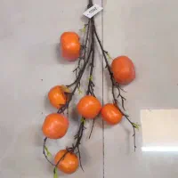 میوه های شاخه ای