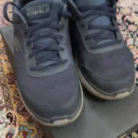 اسکیچرز سایز 43 اصلی