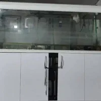 اکواریوم دلسا با فیلتر