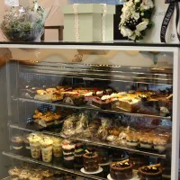 دو عدد یخچال قنادی فوق العاده