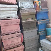 کندوی زنبور عسل خالی