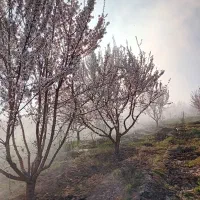 باغ ۳۵۰۰متری