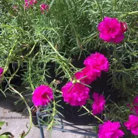 راهنمایی میخوام