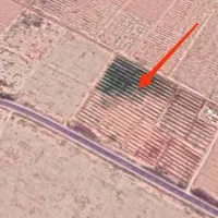 فروشی زمین باغ برجاده اصلی|فروش دفتر صنعتی، کشاورزی، تجاری|نیریز, |دیوار