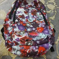 کیف مدرسه یا کوله پشتی