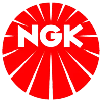 شمع وانت نیسان وایر تقویتی وانت نیسان