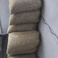 خوردنی|عمده‌فروشی|سیلوانه, |دیوار