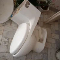 سرویس کامل فرنگی و روشوی