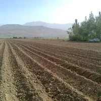 زمین کشاورزی