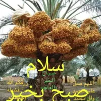 اجاره زمین کشاورزی درلاور