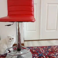 صندلی اپن یا کوتاهی