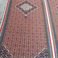 فرش طبیعی|فرش|اردبیل, |دیوار