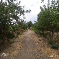 اجاره یا فروش کارگاه