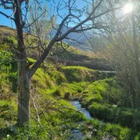 باغ-میوه-حیدره