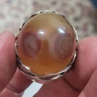 نیست در جهان