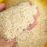 برنج سرلاشه و لاشه هاشمی و نیمدانه ممان میانه عطری|خوردنی و آشامیدنی|زنجان, |دیوار