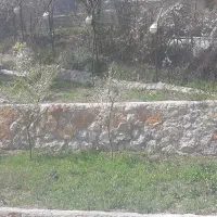 فروش زمین ۱۵۰ متری|فروش زمین و ملک کلنگی|رینه, |دیوار