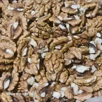 گردو محلی و پرچرب