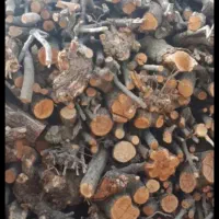 خریدار انواع چوب
