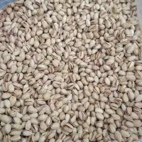 پسته درجه۱ اصل رفسنجان|خوردنی و آشامیدنی|رفسنجان, |دیوار