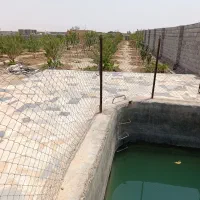 فروش باغ|فروش زمین و ملک کلنگی|شاهینشهر, شهرک میلاد|دیوار