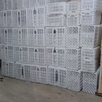 سبد میوه درجه یک مواد یک