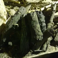 استخدام نیرو جهت کار در کارگاه زغال  آقا