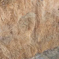 پخل گندم و ذرت درجه 1