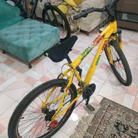 دوچرخه|دوچرخه، اسکیت، اسکوتر|رشت, هلال احمر|دیوار