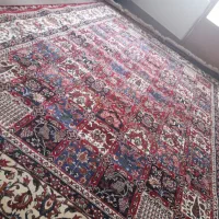 قالی خشتی  نو.   ۹متری