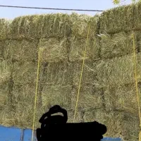 یونجه انباری|عمدهفروشی|دشتابی, |دیوار