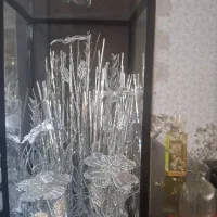 گل نقره