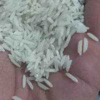 برنج هاشمی درجه یک