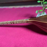 سه تار حرفه ای ساخته استاد صدر|سازهای سنتی|شیراز, قدوسی غربی|دیوار