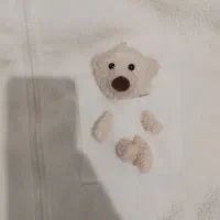 هودی|لباس|بهارستان, |دیوار