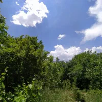 300 متر کنار رودخانه