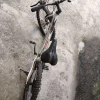 دوچرخه فلش|دوچرخه، اسکیت، اسکوتر|رشت, جانبازان|دیوار