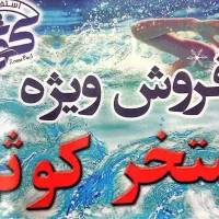 فروش ویژهی بلیط استخر کوثر