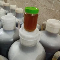 عسل کنار 2 با رنگ و طعم عالی